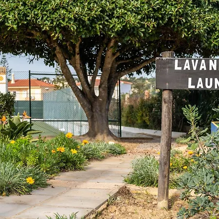 Ponta Grande 阿尔布费拉